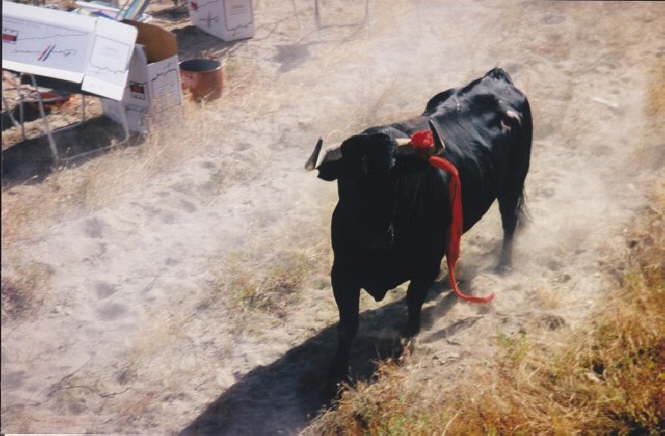 tordesillas1998-039