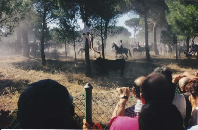 tordesillas1998-042